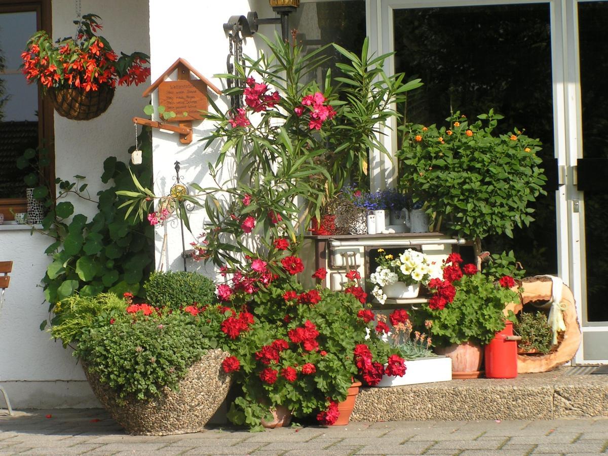 Pension Zum Ebenstein Am Donausteig Untergriesbach Buitenkant foto