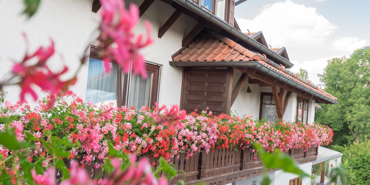 Pension Zum Ebenstein Am Donausteig Untergriesbach Buitenkant foto